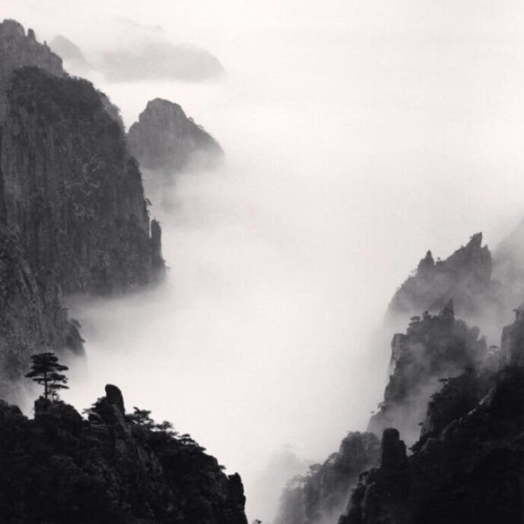 腰繁男 - 综艺未删减在线观看 - 网页看剧